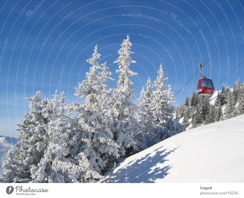 WinterWonderLand 1 Neuschnee Österreich Tanne Schnee Seilbahn Gondellift Schneelandschaft Schneedecke Bergwald Nadelwald Idylle typisch aufwärts Blauer Himmel