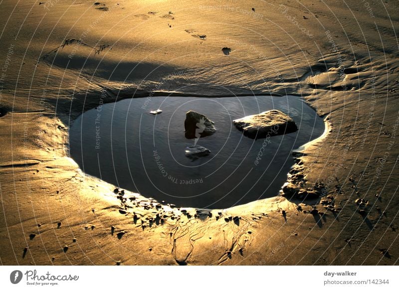 Goldene Mondlandschaft Vulkankrater Strand Meer Reflexion & Spiegelung Küste Erde Sand Landschaft Wasser Stein Natur Insel gold reflektion Stranddüne Nordsee