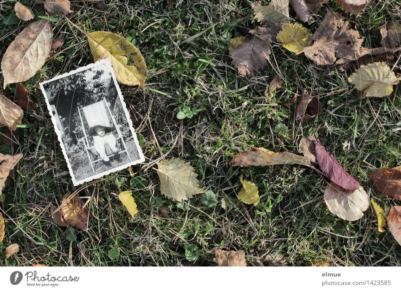 Es ist Herbst geworden (2) Blatt Wiese alt historisch retro Akzeptanz Gelassenheit Wahrheit Weisheit demütig träumen Müdigkeit Einsamkeit Erschöpfung