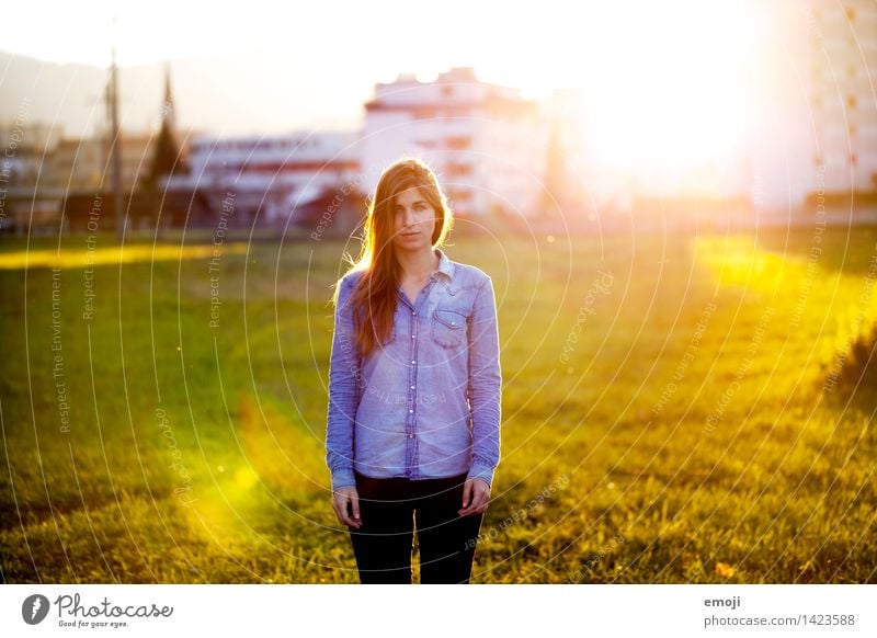 Herbstlicht feminin Junge Frau Jugendliche 1 Mensch 18-30 Jahre Erwachsene schön natürlich Farbfoto Außenaufnahme Tag Sonnenstrahlen Sonnenaufgang