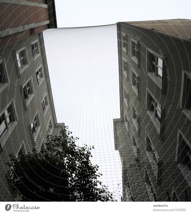 Netz Haus Mieter Vermieter Hof Terrasse Innenhof eng steil Froschperspektive Fassade Fenster gegenüber Vogelkäfig Trennung Grenze obskur Berlin abgetrennt