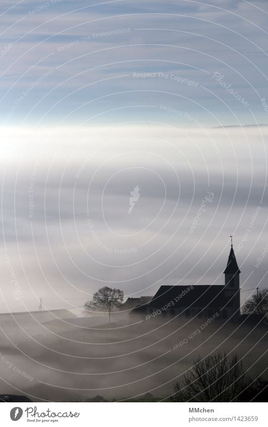 Skyline Ausflug Ostern Hochzeit Trauerfeier Beerdigung Taufe Herbst Nebel Baum Niederlauch Dorf Kirche kalt trist grau Tugend Zufriedenheit Kraft Tatkraft