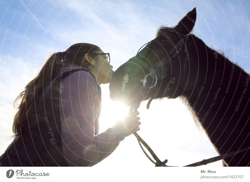 scheiß auf den prinzen ich nehm das pferd Freizeit & Hobby Reiten Sonne feminin Junge Frau Jugendliche Schönes Wetter langhaarig Küssen Vertrauen Pferd