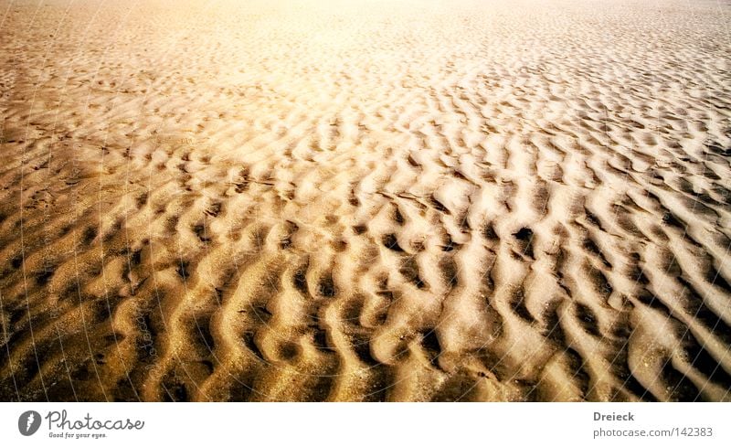 going home Sand Küste Wasser Meer Sahara Wüste trocken Spuren Fußspur Ordnung Linie Schlangenlinie Ödland Verdunstung vertrocknet Stranddüne Erde Boden