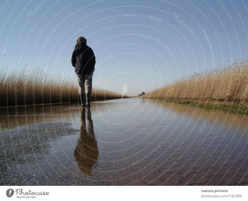 Strasse "Land-unter" Straße Wasser Pfütze wandern Stiefel Schilfrohr Rømø Nordsee Überschwemmung Hochwasser Frau Landunter