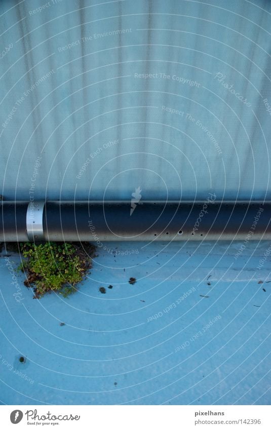 Beckenrand II Sommer Schwimmbad Pflanze Wasser Sträucher Metall alt trocken blau grau schwarz Eisenrohr Folie Freibad Loch bewachsen verfallen Rohrschelle