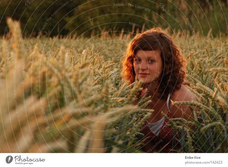 Kornmädchen2 Kornfeld Weizen schön Feld Horizont Erholung Abenddämmerung Farbe Sommer Erde Sand Kindfrau hüpsch Locken Natur Getreide verstecken Sonnenuntergan