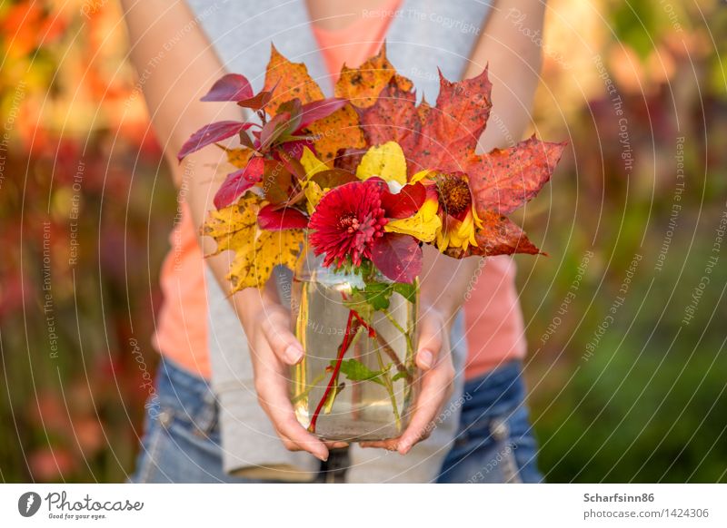 Mädchen mit Herbstblumenstrauß. Lifestyle Erholung Freizeit & Hobby Tourismus Freiheit Garten feminin Körper Hand Blühend entdecken festhalten laufen Glück hell