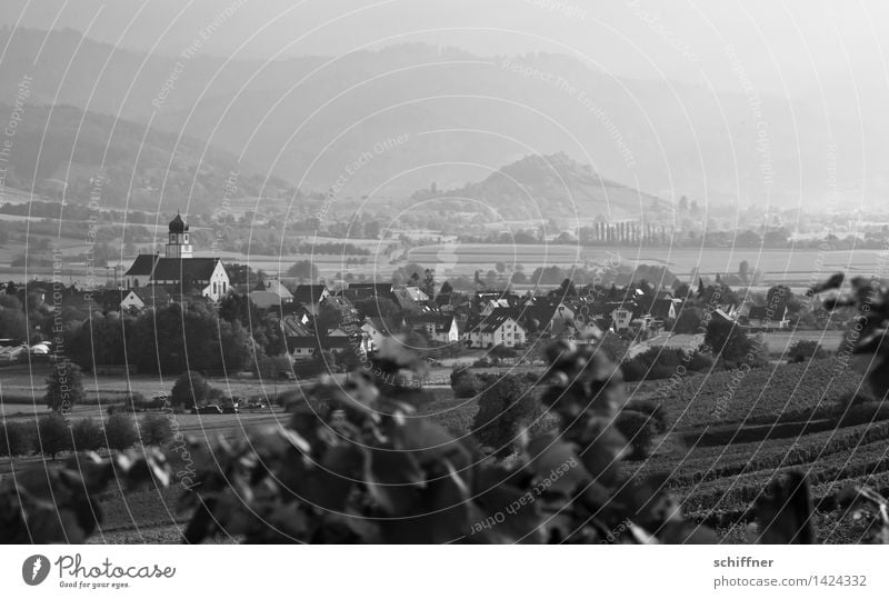 Someone, somewhere in Summertime Landschaft Sommer Schönes Wetter Wiese Feld Hügel Berge u. Gebirge Dorf schwarz weiß Rheinebene Kirche Schwarzwald Weinberg