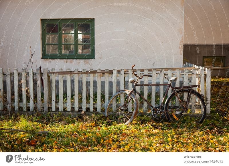 End of bicycle season Stil harmonisch Erholung ruhig Fahrradtour Sonnenlicht Herbst Schönes Wetter Gras Europa Dorf Mauer Wand Fassade Fenster Fahrradfahren