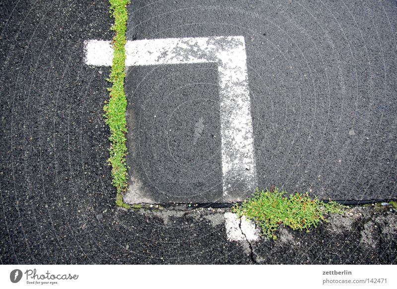 Rechte Winkel Ecke Schilder & Markierungen Parkplatz Asphalt Teer Riss Natur Kraft Reifezeit Loch Gras Verkehrswege rechter Winkel asfalt