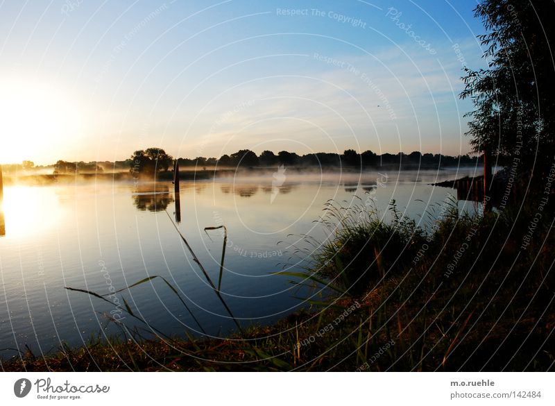 morning mood Oder Morgen Fluss Landschaft Landschaftsformen Stimmung Einsamkeit Sonnenaufgang Reflexion & Spiegelung grün Halm Gras Sträucher fließen Wasser