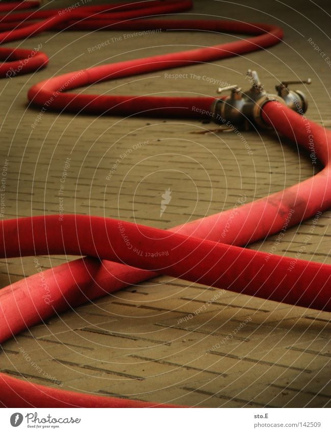 schläuche pt.2 Schlauch Feuerwehreinsatz durcheinander rot Muster Ordnung löschen Öffentlicher Dienst Sozialer Dienst Handwerk Brand Kopfsteinpflaster