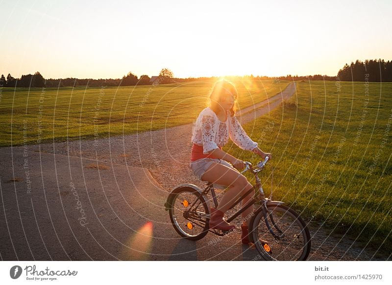 letzte Strahlen Ferien & Urlaub & Reisen Ausflug Abenteuer Natur Feld Fahrradfahren Wege & Pfade Freude Glück Lebensfreude Hippie Flowerpower Farbfoto