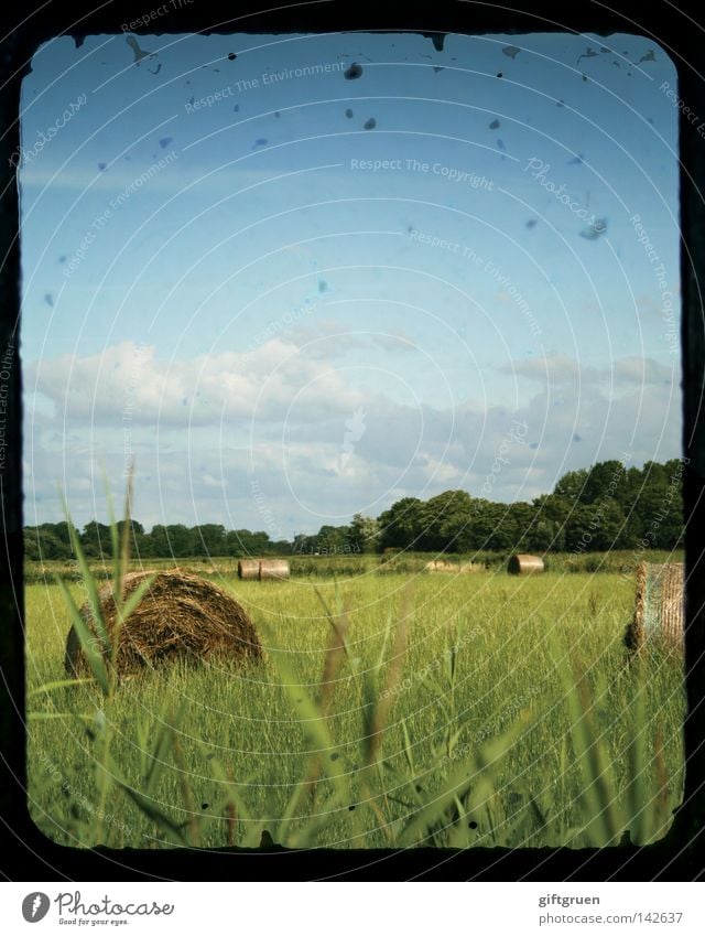 spätsommer Sommer September Stroh Strohballen Heuballen Feld Landwirtschaft Wiese Landleben Indian Summer August Ernte Landschaft Himmel Rolle late summer straw