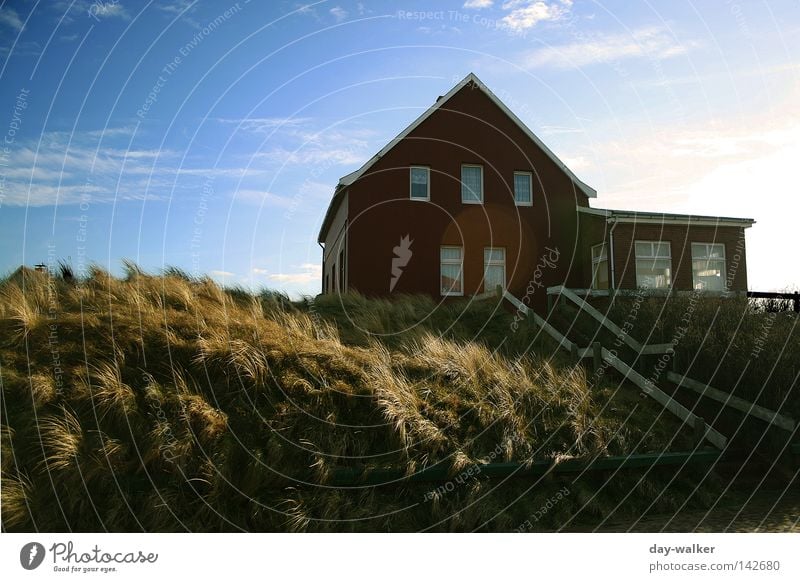 Frische Briese frisch Meer Strand Küste Gras Haus Wolken Ferienhaus Licht Abendsonne Himmel briese Wind Klima Nordsee Insel Natur Stranddüne Sand Treppe