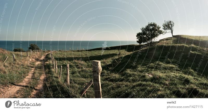 Bei Binz, Rügen Ferne Umwelt Natur Landschaft Pflanze Wolkenloser Himmel Horizont Klima Wetter Schönes Wetter Baum Gras Hügel Ostsee Insel Wege & Pfade Pfosten