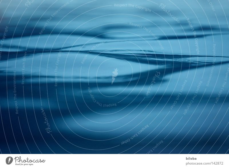 An stillen Wassern Leben Urelemente Wellen elementar See liquide Flüssigkeit Frieden sanft weich zart ruhig Licht Denken Reflexion & Spiegelung grün Muster