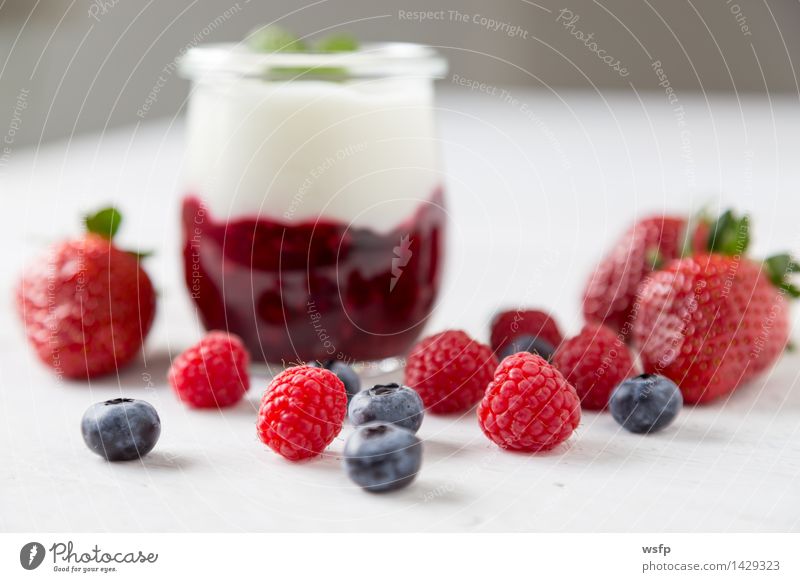 Rote Grütze mit Minze Joghurt Frucht Dessert Holz weiß rote Grütze Himbeeren Blaubeeren weisser Holzhintergrund Erdbeeren Glas Gesund Süsspeise Essen Holztisch