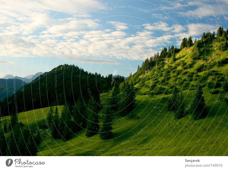 Teletubbie-Land Berge u. Gebirge hoch Wiese aufwärts Hochgebirge Bergsteigen Wolken Cirrus Altokumulus floccus Kumulunimbus Baum Tanne Fichte Wald-Kiefer