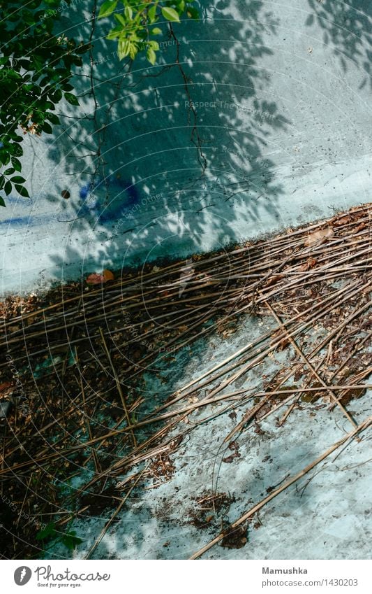 Wasserrutsche Freizeit & Hobby Ferien & Urlaub & Reisen Ausflug Abenteuer Sommer Wassersport Vergnügungspark Umwelt Natur Pflanze Sträucher Blatt Grünpflanze