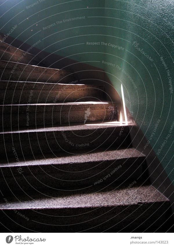 Altbau alt oben aufwärts Haus grün dunkel Strahlung Treppe unten abwärts Schatten Spinnennetz Treppenhaus Architektur Häusliches Leben frontal