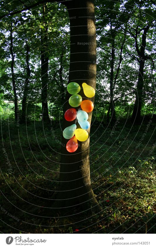 GUMMIBAUM Gummi Holz Luft Füllung Wald mehrfarbig Spielzeug Party Dekoration & Verzierung Schmuck verschönern rot gelb grün Waldlichtung Park blasen Waldboden