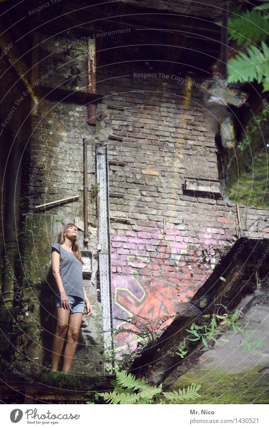 lost places feminin Haut Beine Pflanze Farn Industrieanlage Ruine Gebäude Mauer Wand langhaarig dreckig Stadt Einsamkeit Shorts stehen beobachten Graffiti