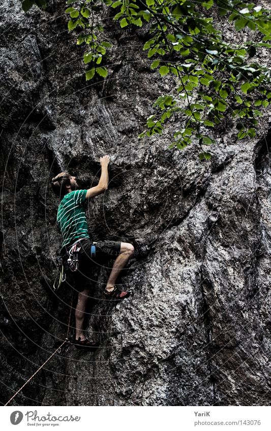 hang on Bergsteigen Bergsteiger Felsen Mann Stein steinig Freeclimbing abwärts unten abseilen Seil Kletterseil Gürtel Absicherung retten Blatt Dach Wolken Baum