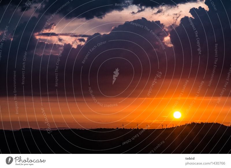 Bis zum Horizont Erneuerbare Energie Windkraftanlage Natur Landschaft Himmel Wolken Wetter Schönes Wetter Baum Wald Hügel Unendlichkeit Ferne Idylle Beleuchtung