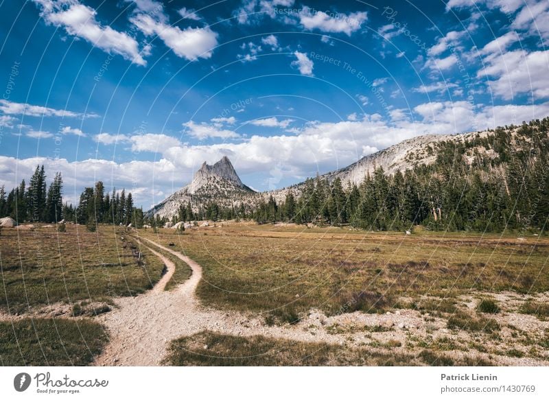 Road to Nowhere Wohlgefühl Zufriedenheit Ferien & Urlaub & Reisen Ausflug Abenteuer Ferne Freiheit Camping Berge u. Gebirge wandern Umwelt Natur Landschaft