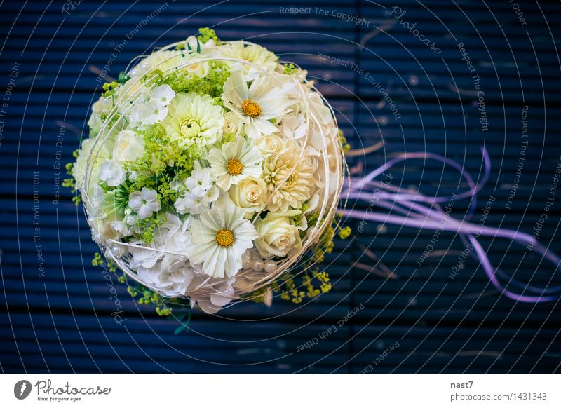 Hochzeit Posy elegant Freude schön Veranstaltung Feste & Feiern Blume Rose Blüte Zusammensein Glück blau weiß Gefühle Fröhlichkeit Liebe Leben "Blume