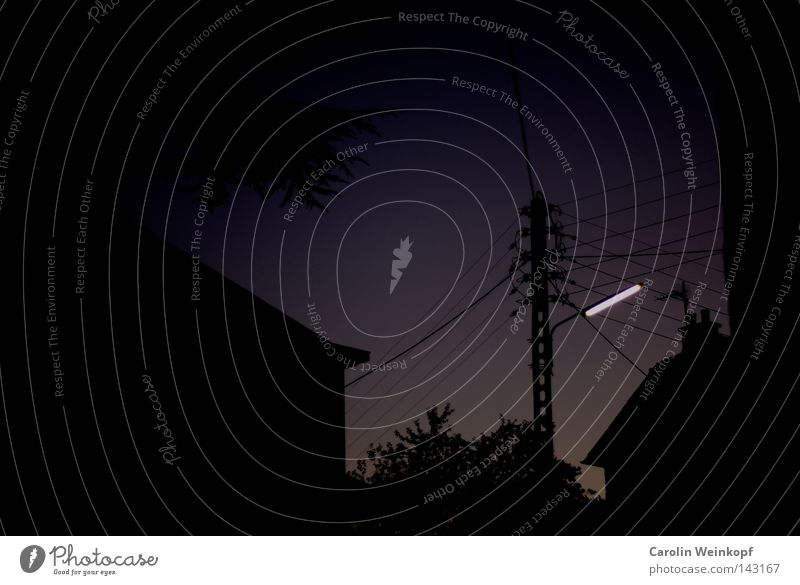 Neon. Lampe Neonlicht Laterne Straßenbeleuchtung Beleuchtung Nacht Abend Dämmerung Dorf Stadt Haus Schatten Silhouette Strommast Kabel Baum Licht hell dunkel