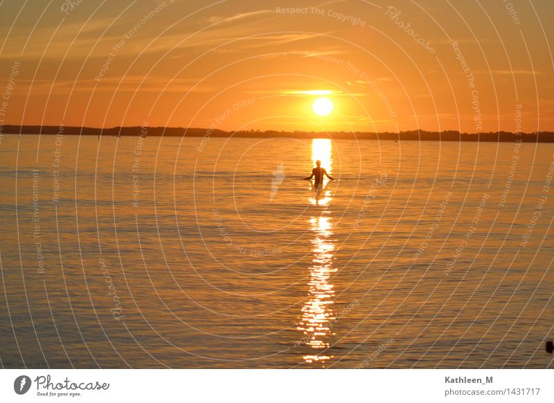 Ein Bad im Sonnenuntergang Schwimmen & Baden Ferien & Urlaub & Reisen Sommer Sommerurlaub Meer Mensch Junge Frau Jugendliche 1 Schönes Wetter Ostsee Wärme gelb