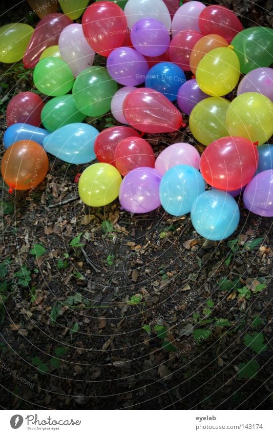 Bunte Gummi-Waldwanderung (2) Holz Luft Füllung mehrfarbig Spielzeug Party Dekoration & Verzierung Schmuck verschönern rot gelb grün Waldlichtung Park blasen