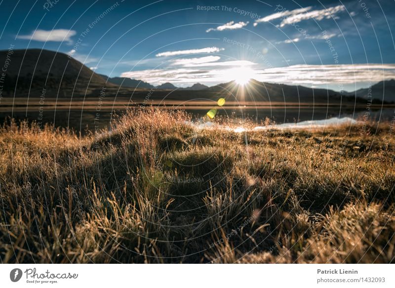 Morgenlicht Wellness Leben Wohlgefühl Zufriedenheit Sinnesorgane Erholung Ferien & Urlaub & Reisen Abenteuer Ferne Freiheit wandern Umwelt Urelemente Erde