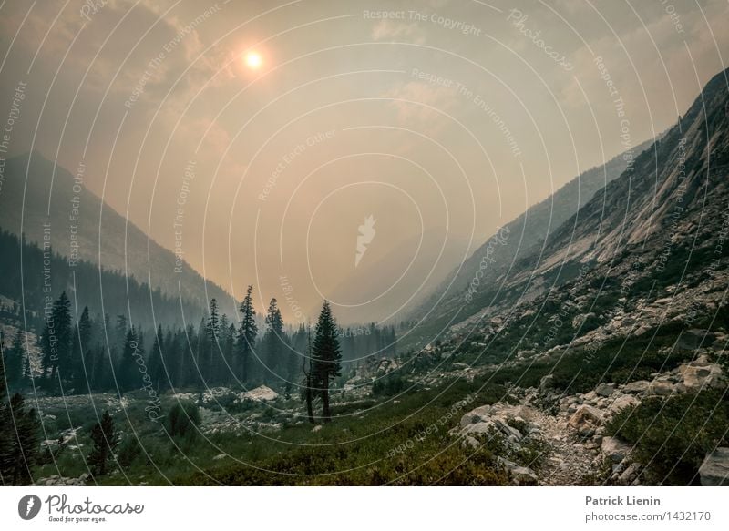 Waldbrand in Kalifornien Tourismus Ausflug Abenteuer Ferne Expedition Berge u. Gebirge wandern Umwelt Natur Urelemente Feuer Himmel Wolken Sonne Sonnenlicht