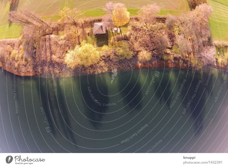 Haus am See Umwelt Natur Landschaft Pflanze Urelemente Luft Wasser Sonne Sonnenaufgang Sonnenuntergang Sonnenlicht Herbst Winter Klimawandel Schönes Wetter Baum