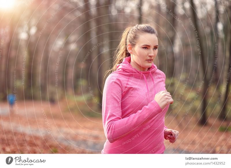 Junge Frau des hübschen Sitzes, die im Waldland rüttelt Diät Lifestyle Körper Gesicht Sport Joggen Erwachsene 1 Mensch 18-30 Jahre Jugendliche Natur Herbst