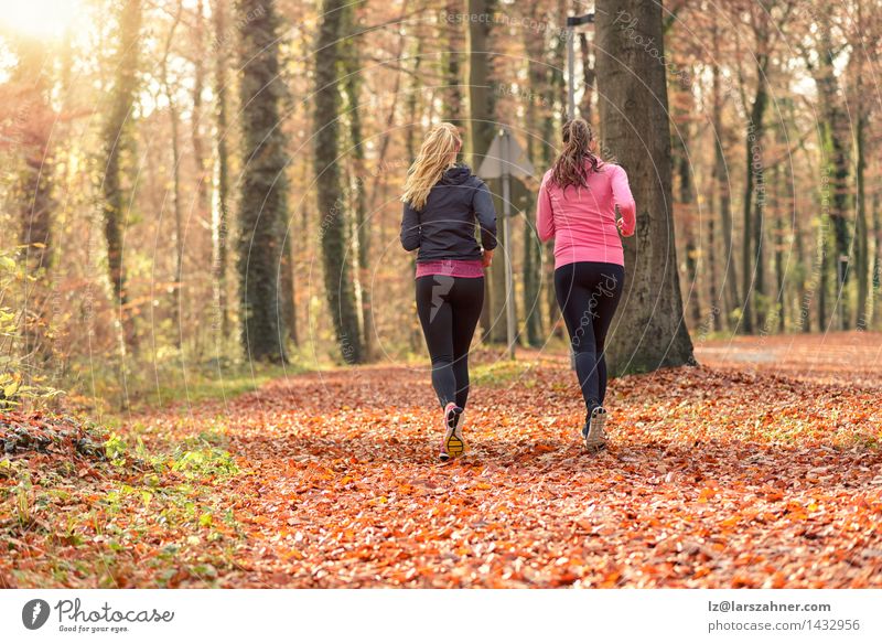 Zwei passen die junge Frau zusammen, die zusammen rüttelt Lifestyle Glück Gesicht Sport Joggen sprechen Erwachsene Freundschaft 2 Mensch 18-30 Jahre Jugendliche