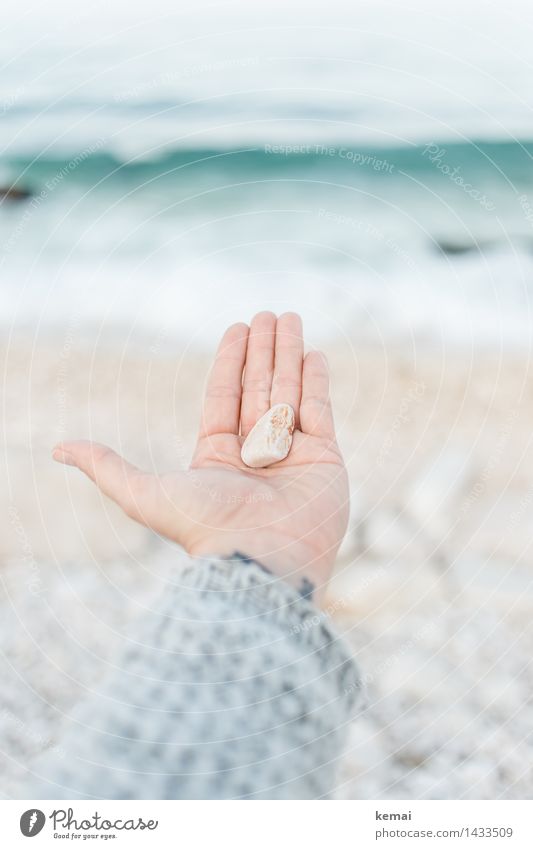 ...since I have nothing else to give. Hand Finger Handfläche 1 Mensch Umwelt Natur Urelemente Wasser Sonnenlicht Schönes Wetter Strand Meer Wellen Souvenir