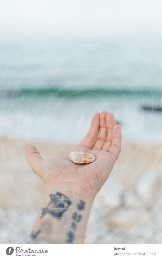 ...this stone to you... Lifestyle Ferien & Urlaub & Reisen Strand Meer Wellen Hand Finger Handfläche 1 Mensch Tattoo Umwelt Natur Sonnenlicht Schönes Wetter