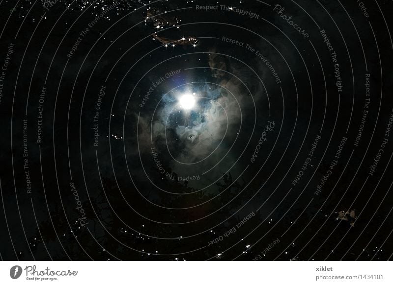Sonne blau schwarz Kontrast Licht Wasser Schlamm Teich Reflexion & Spiegelung Umwelt Erde Weg mystisch Blatt Regen geheimnisvoll Wolken Hoffnung offen bedeckt