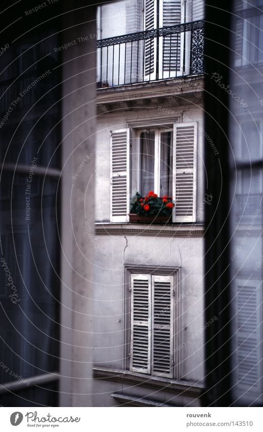 Fenster in Paris Sommer Blume Haus Altbau Zimmerpflanze Wohnung