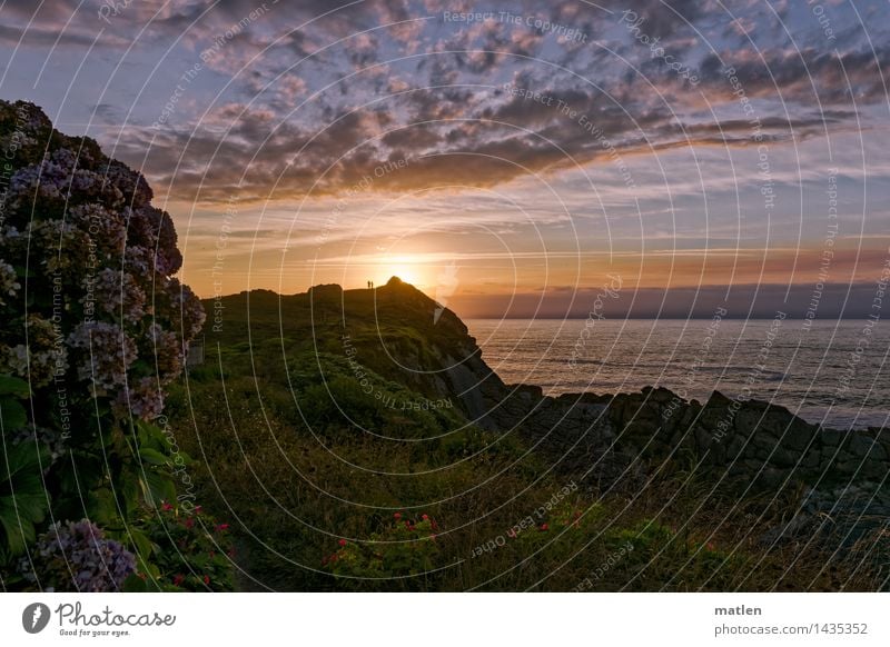 letztes Licht Mensch 2 Natur Landschaft Pflanze Himmel Wolken Horizont Sonnenaufgang Sonnenuntergang Sonnenlicht Wetter Schönes Wetter Blume Blatt Blüte