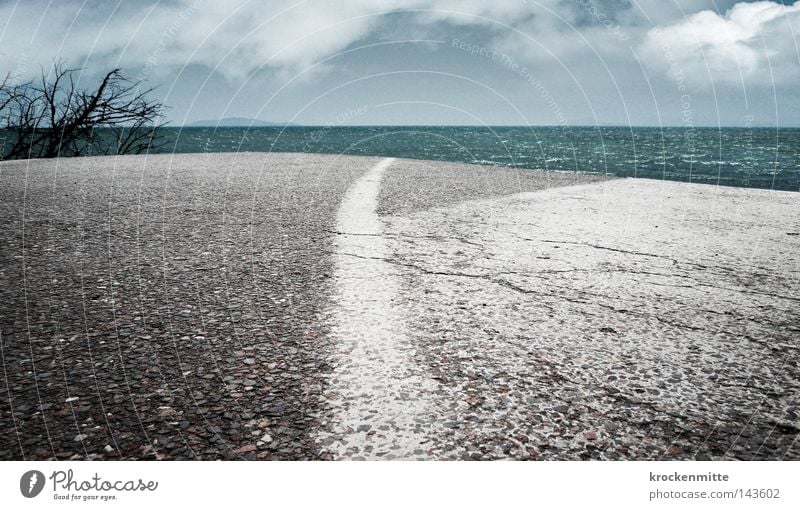 Straße ins Nirgendwo Linie weiß Asphalt Sträucher Wolken Himmel Meer Wasser Ende Zukunft Mittellinie Verkehr Pflanze fertig Einsamkeit Ferne fahren