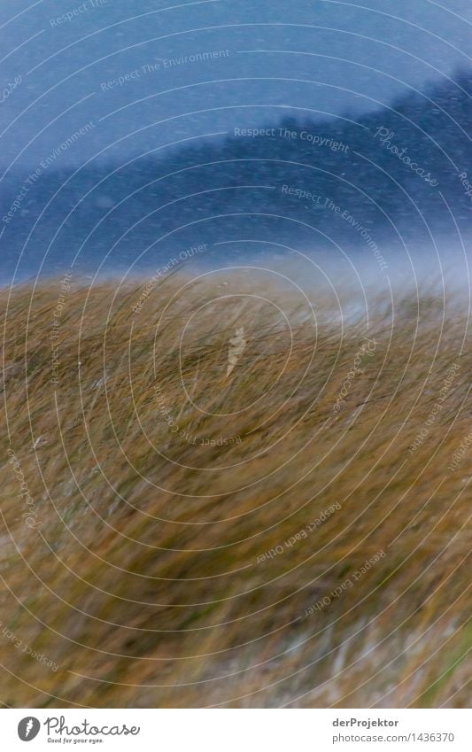 Erster Wintersturm über Rügen Ferien & Urlaub & Reisen Tourismus Umwelt Natur Landschaft Pflanze schlechtes Wetter Unwetter Wind Sturm Eis Frost Hagel Schnee