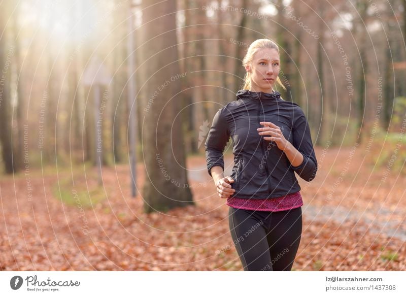 Junge Frau des hübschen Sitzes, die im Waldland rüttelt Diät Lifestyle Körper Gesicht Sport Joggen Erwachsene 1 Mensch 18-30 Jahre Jugendliche Natur Herbst