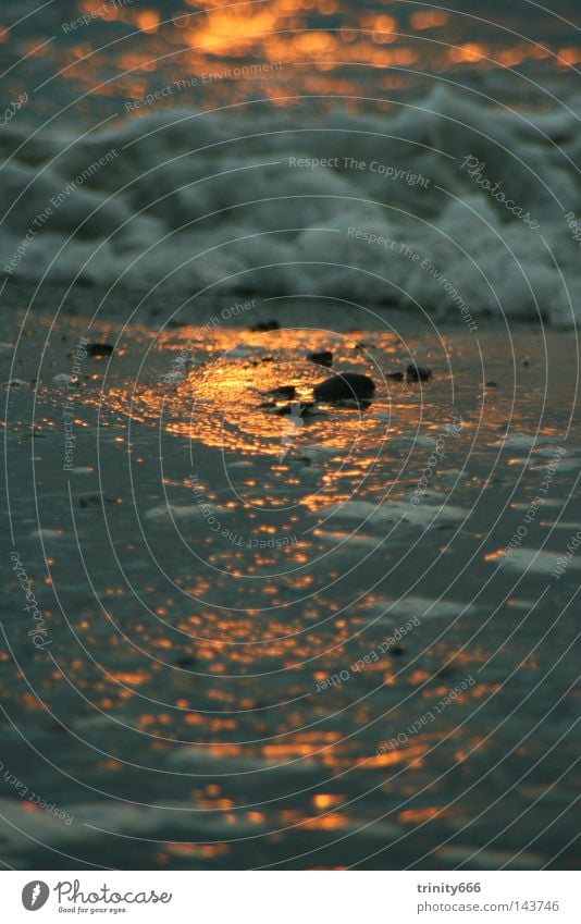 Auf den Spuren der Sonne Meer Physik kalt Wellen Schaum Wasser Wärme Detailaufnahme