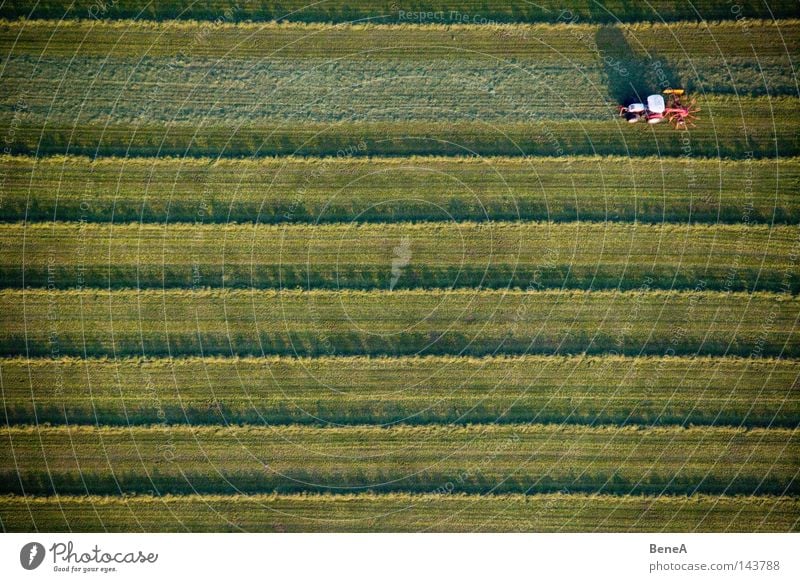 Mr. Tractor Driver Traktor Landwirtschaft Nutzfahrzeug Fahrzeug Feld Wiese grün Linie Symmetrie Geometrie Arbeit & Erwerbstätigkeit Erzeuger Schatten Abendsonne